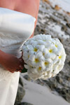 Frangipani Bouquet